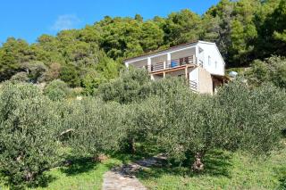Seaside secluded apartments Cove Torac, Hvar - 24462 - Gdinj - 8
