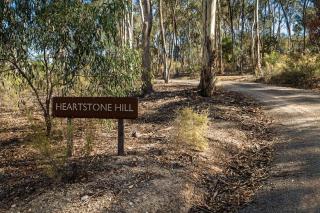 HeartStone Hill - Studio - 1