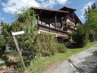 Am Waldrand - Bayerisch Eisenstein - 0