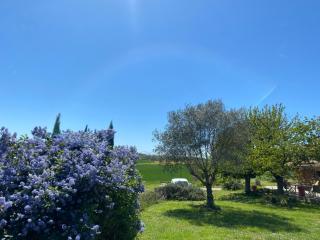Le clos du Broca - Clermont-Pouyguilles - 6