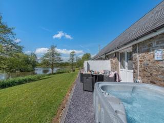 Wren Cottage - Llandeilo - 0