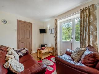 Wren Cottage - Llandeilo - 8