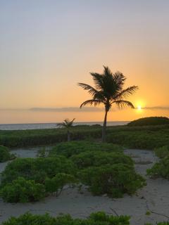 Oceanfront Living in Paradise - 8