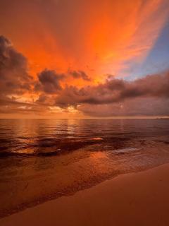 Oceanfront Living in Paradise - 7