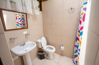 Cabaña del Oso en Papallacta - Papallacta - 2