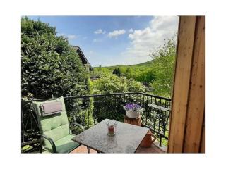 Holiday home in Harz with 2 bedrooms - Ilsenburg - 9