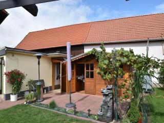 Apartment holiday home in the Harz with terrace - Veckenstedt - 7