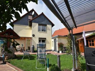 Apartment holiday home in the Harz with terrace - Veckenstedt - 4