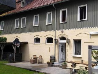 1 bedroom apartment - Elbingerode - 1
