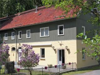 1 bedroom apartment - Elbingerode - 9