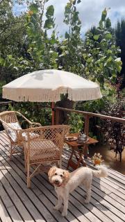 Delta Tigre - Cabin for two - Pet Friendly - Dock - Casa Anima - Tigre - 8