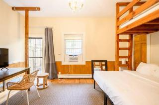 Yard, Laundry, Large! Bonus Sleep Area - Jersey City - 3