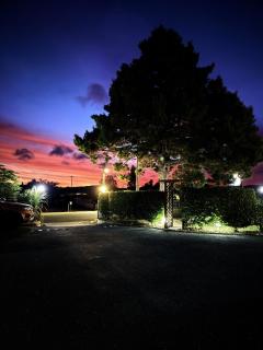 Camellia Court Family Motel - Taupo - 9