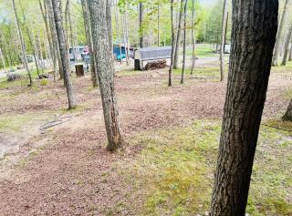 Cozy Cabin in the woods - 1