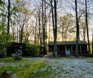 Cozy Cabin in the woods - Wellington - 8