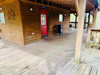 Cozy Cabin in the woods - 5