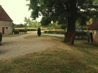 Château in Auvergne with river and terrace - Le Veurdre - 8
