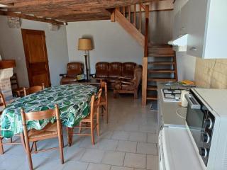 Maison cosy proche de Blois avec cheminée, cour fermée, animaux acceptés et activités variées à proximité - FR-1-491-351 - Chailles - 4