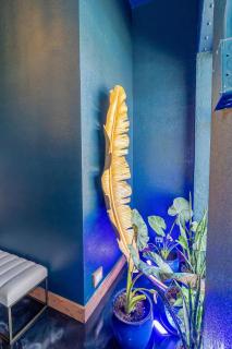 The Secret Cenote Hotel - Jacksonville - 7