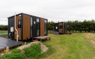 Saffrondreams Farmstay by Tiny Away - West Eyreton - 9