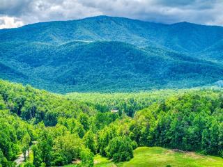 Owners Cabin -Pickleball Court, Creek, WIFI, Mountain Views, Starting at 99 - Cosby - 0