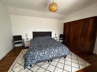 Maison Rénovée avec Jardin et WIFI à La Roche-Posay - FR-1-541-173 - 8