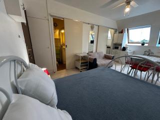 Studio en centre-ville avec WIFI, proche thermes - FR-1-541-174 - La Roche-Posay - 9