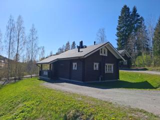 Smaller Äijänhonka Cottage - Jämsä - 9