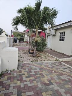 Sua Valley - Willemstad - 8