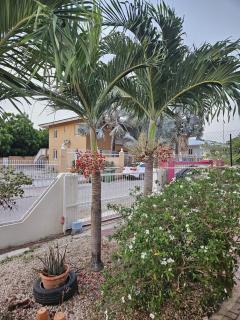 Sua Valley - Willemstad - 9