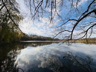 Peaceful Waterfront Retreat in West Rouge - Toronto - 3