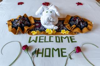 Antira 3 Bedrooms Private Villa in Ubud - Ubud - 5
