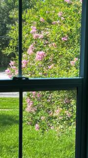 Amazing Waterfront Apt near Disney and Lake Tohoa - 5