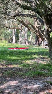 Amazing Waterfront Apt near Disney and Lake Tohoa - 3