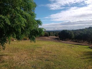 Barossa Views Retreat - - 3