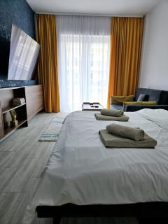 Swiss Apartment 8 - Braşov - 2