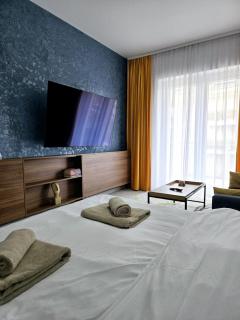 Swiss Apartment 8 - Braşov - 3