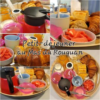 Le Mas du Rouquan - Vidauban - 1