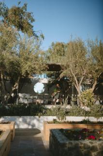 Casa Olivea - MYA Hotel - Valle de Guadalupe - 3