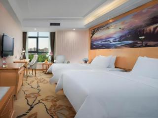 Vienna Hotel Shaanxi Ankang Jiangnan - Ankang - 5
