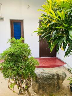 Seawood Guest House &Resturent - Arugam Bay - 0
