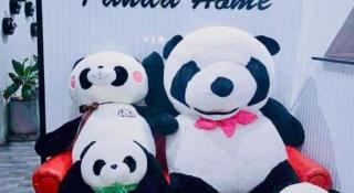 Panda Home & Cafe Songkhla - Songkhla - 3