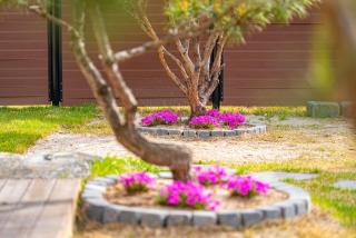 Chuncheon Soopsog Jageun Jib Pension - 3