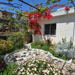 Flora’s place - Saranda - 9