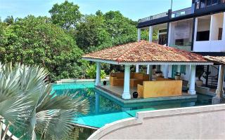 The Travellers palm - Mirissa - 0