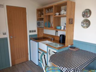 The Mad Hatter's Shepherd's Hut - Carlisle - 9