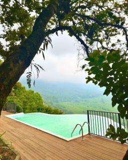 Blackberry Hills Munnar Nature Resort & Spa - Munnar - 9