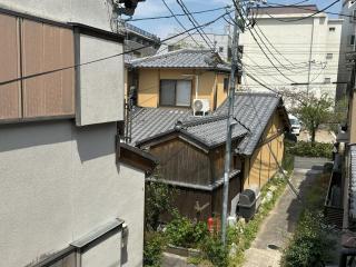 Gion Dinosaur - Kioto - 2