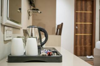 The Ambience Hotel Chandigarh Zirakpur - Zirakpur - 4