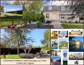 L'Orée des Vignes 41 - proche Chenonceau et Zoo de Beauval - Saint-Georges-sur-Cher - 6